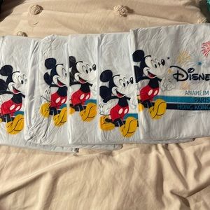 Disney rain ponchos